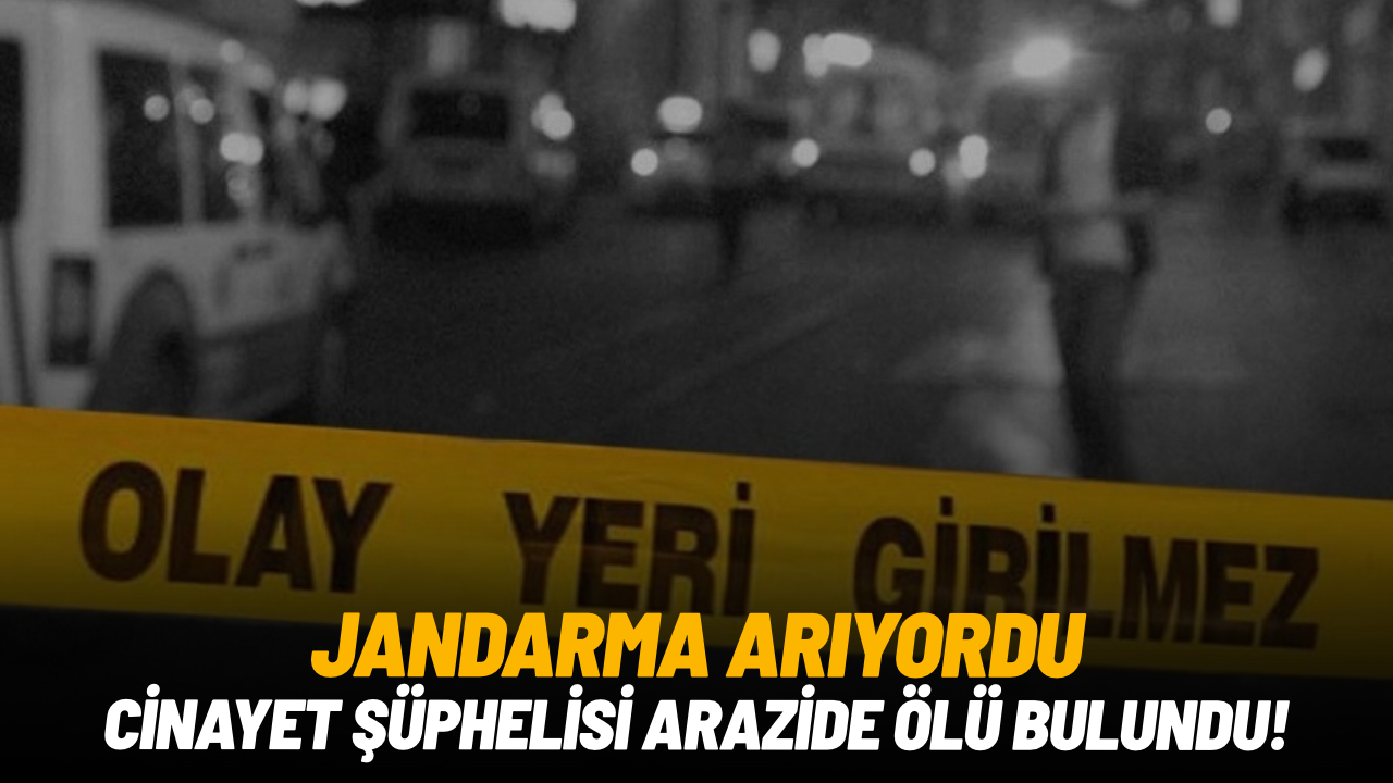 Jandarma arıyordu: Cinayet şüphelisi arazide ölü bulundu!