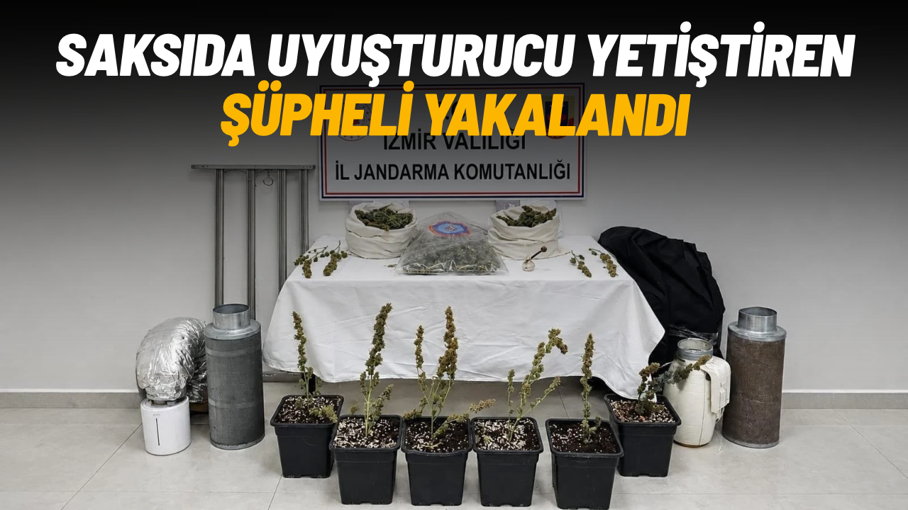 Saksıda uyuşturucu yetiştiren şüpheli yakalandı